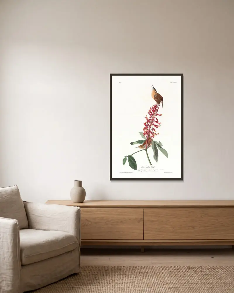 Great Carolina wren av John James Audubon inramad på en vägg