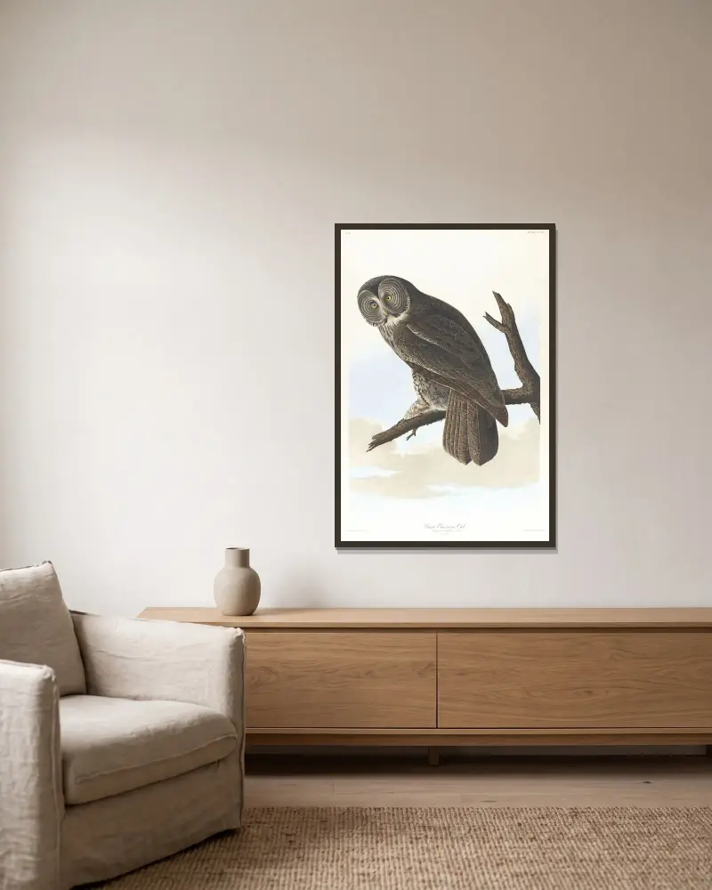 Great cinereous owl av John James Audubon inramad på en vägg
