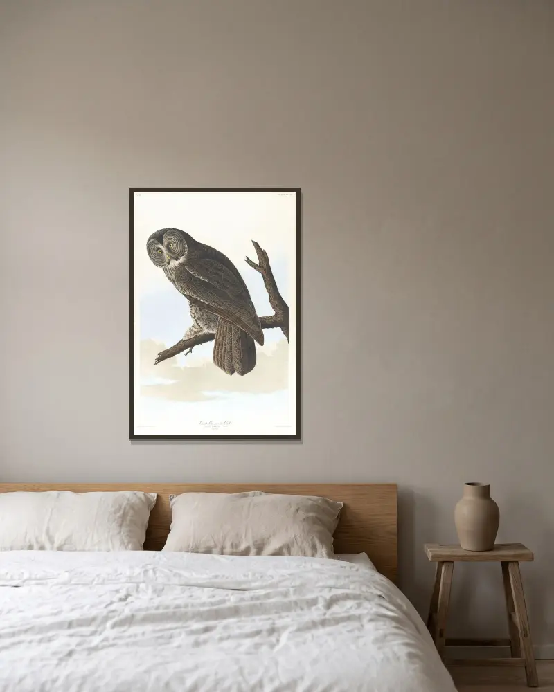 Great cinereous owl av John James Audubon inramad på en vägg