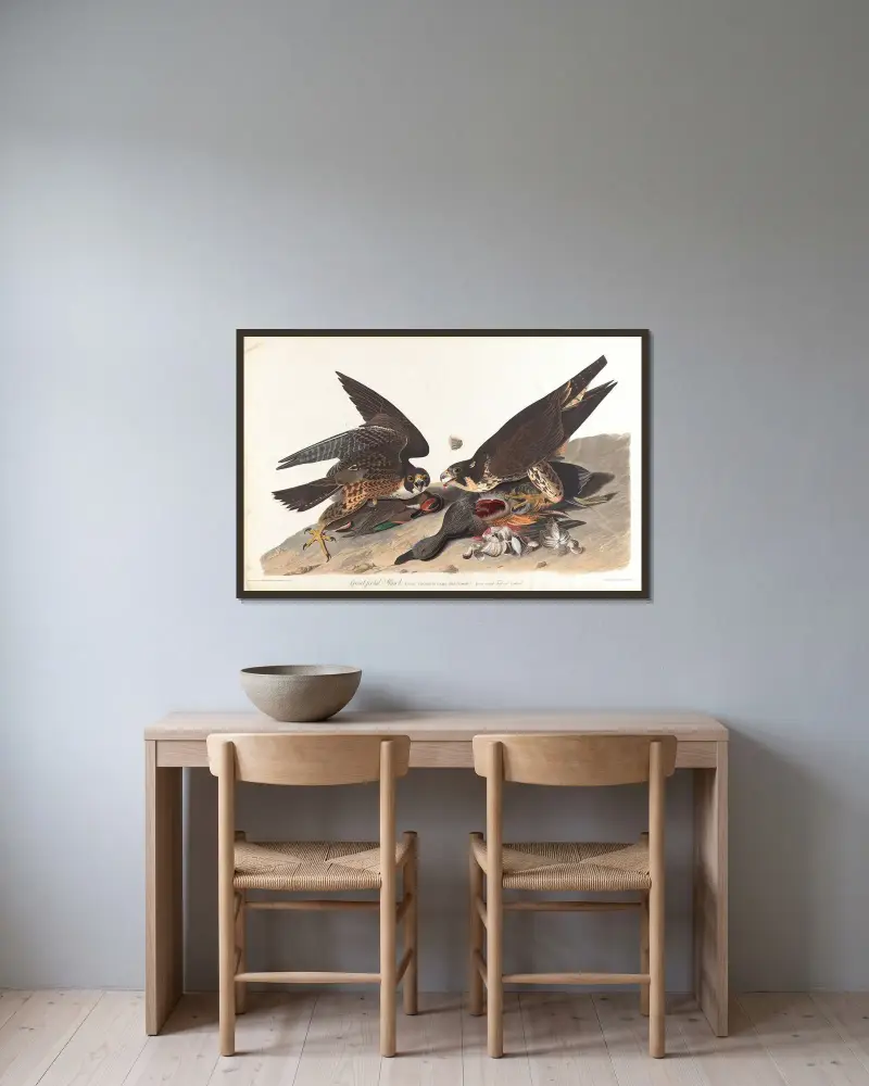 Velkonohý jestřáb, 1827 – Nr. 2, John James Audubon v rámu na stěně