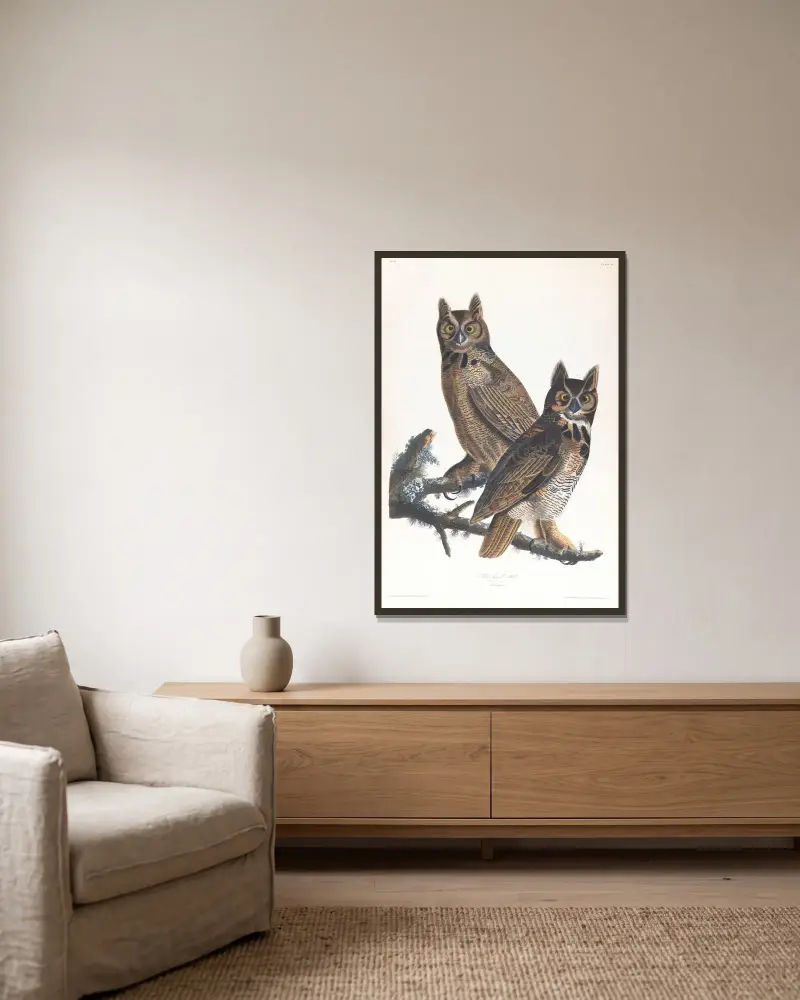 Wielka sowa rogata, John James Audubon w ramie na ścianie