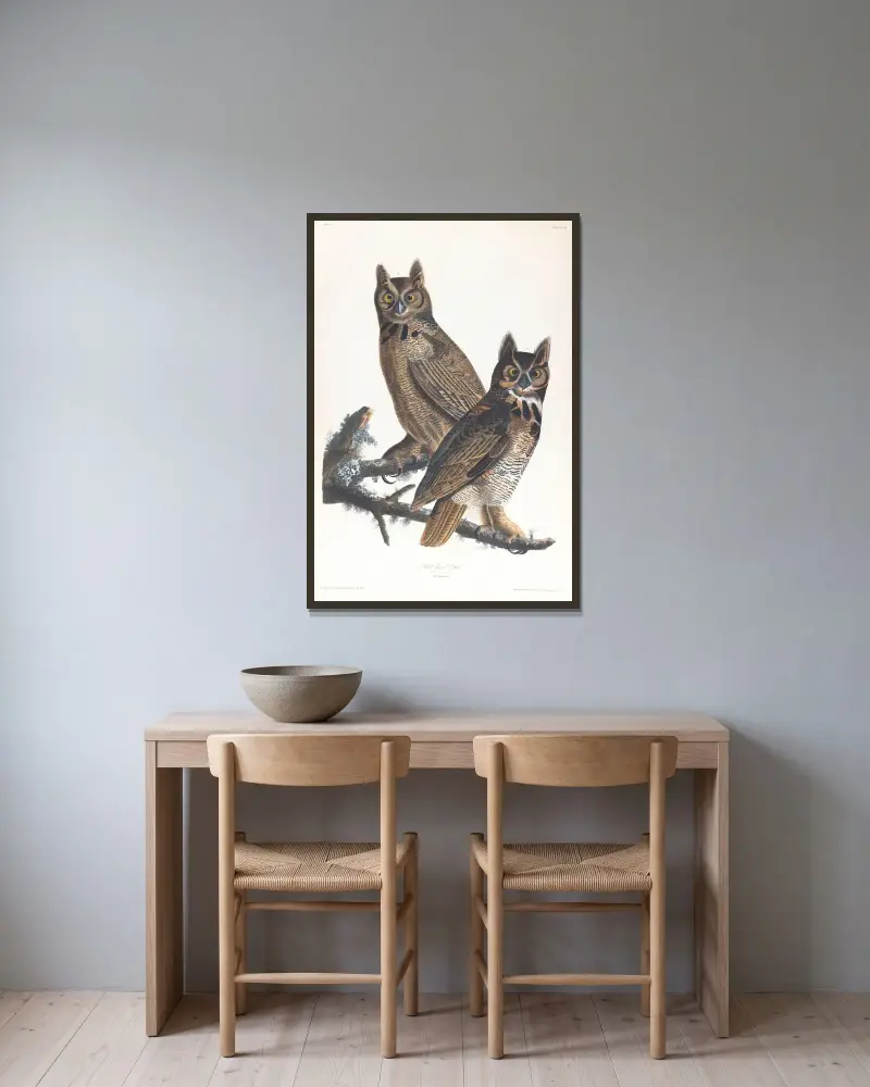 Wielka sowa rogata, John James Audubon w ramie na ścianie