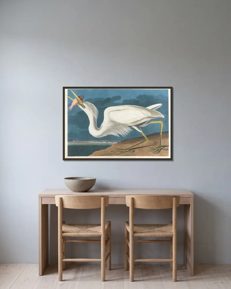 Großer Weißer Reiher von John James Audubon gerahmt an einer Wand