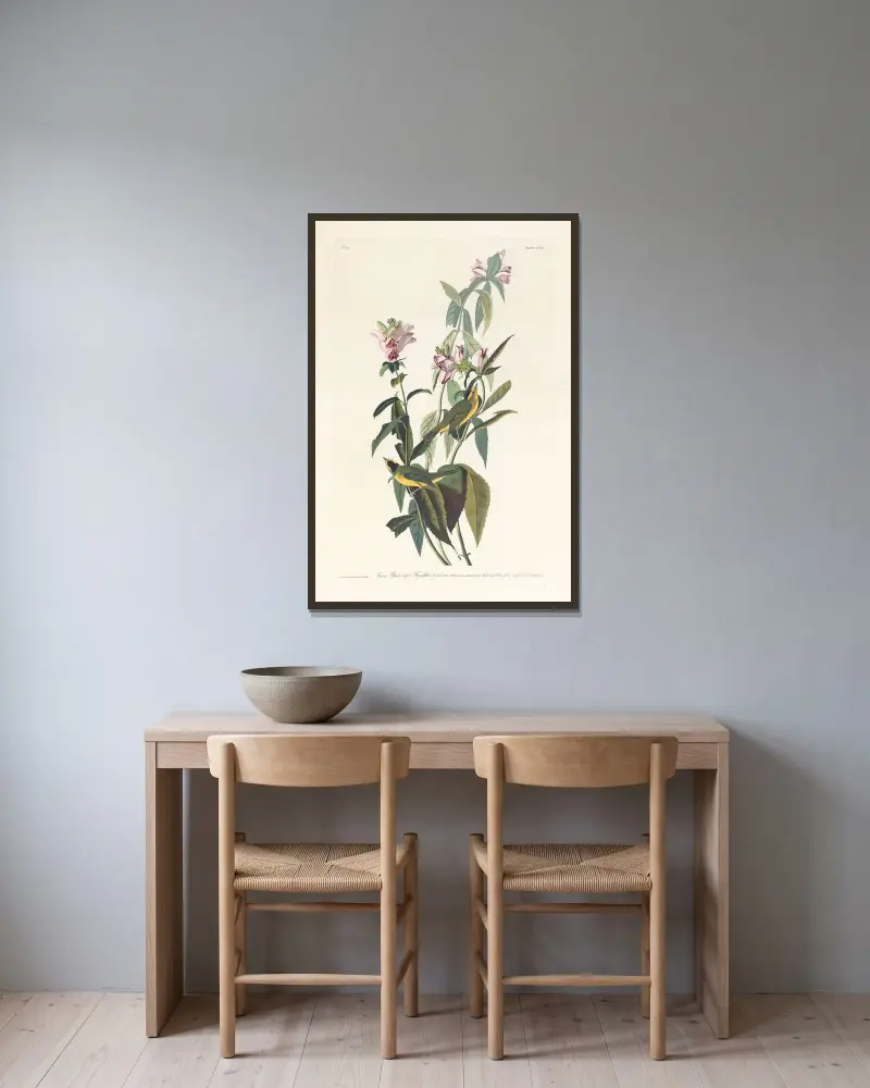 Grüner Schwarzscheitel-Fliegenschnäpper von John James Audubon gerahmt an einer Wand