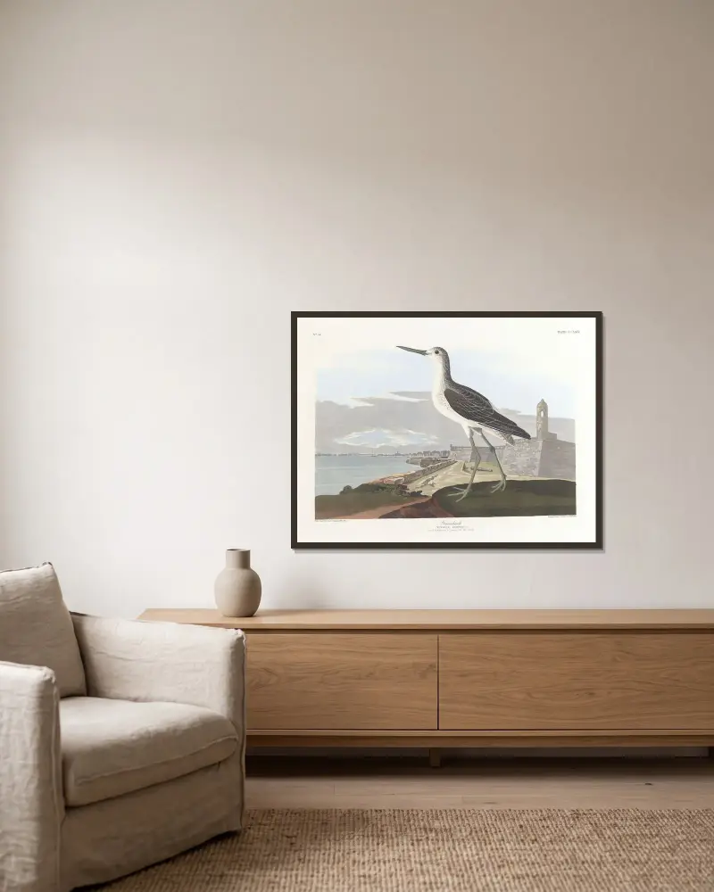 Grönbena, John James Audubon v rámu na stěně
