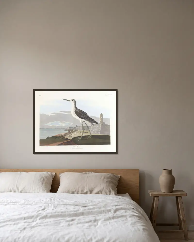 Grönbena, John James Audubon v rámu na stěně