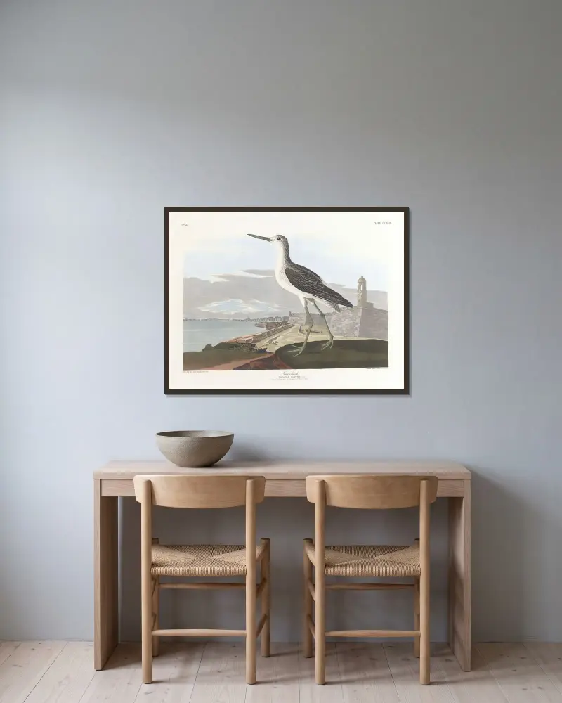 Grönbena, John James Audubon v rámu na stěně