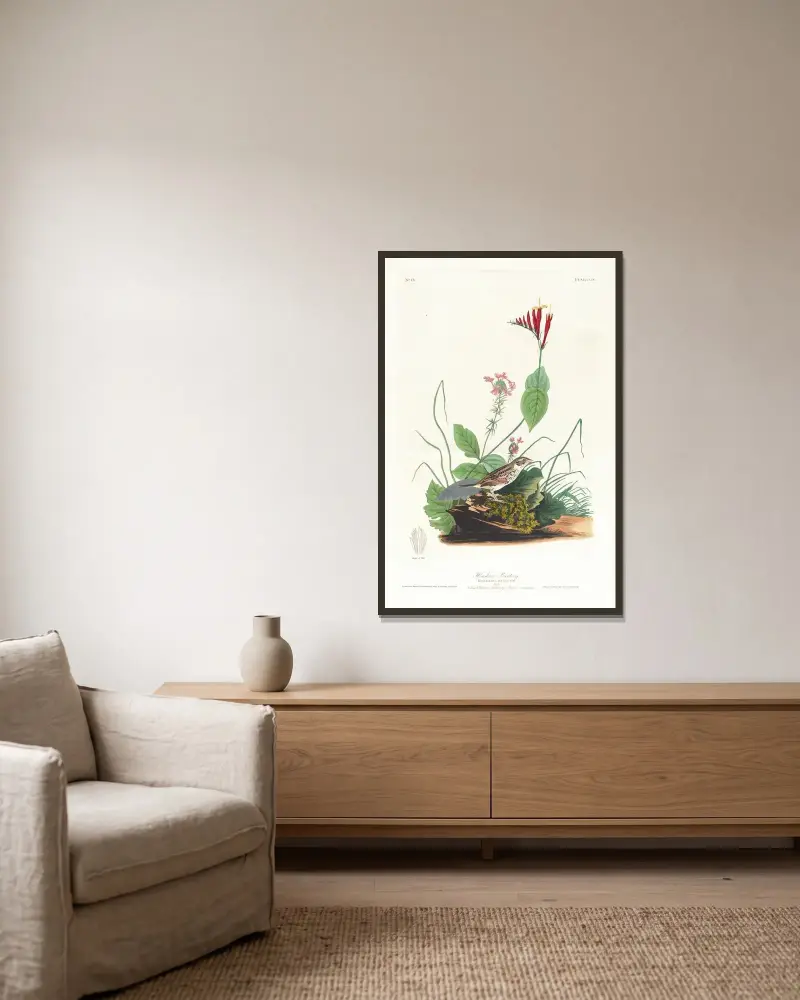 Henslowův strnad, John James Audubon v rámu na stěně