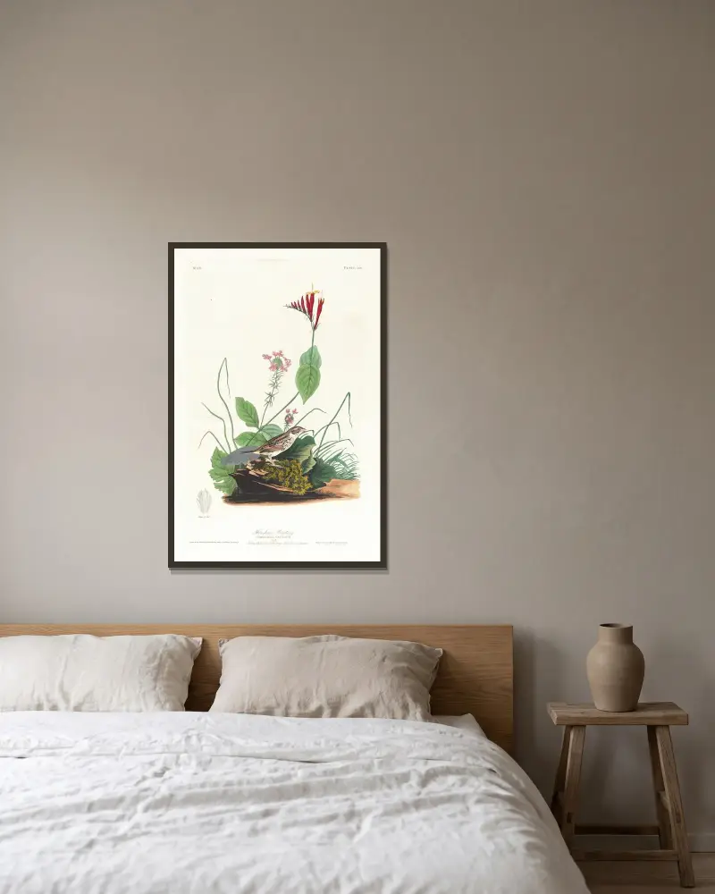Henslowův strnad, John James Audubon v rámu na stěně