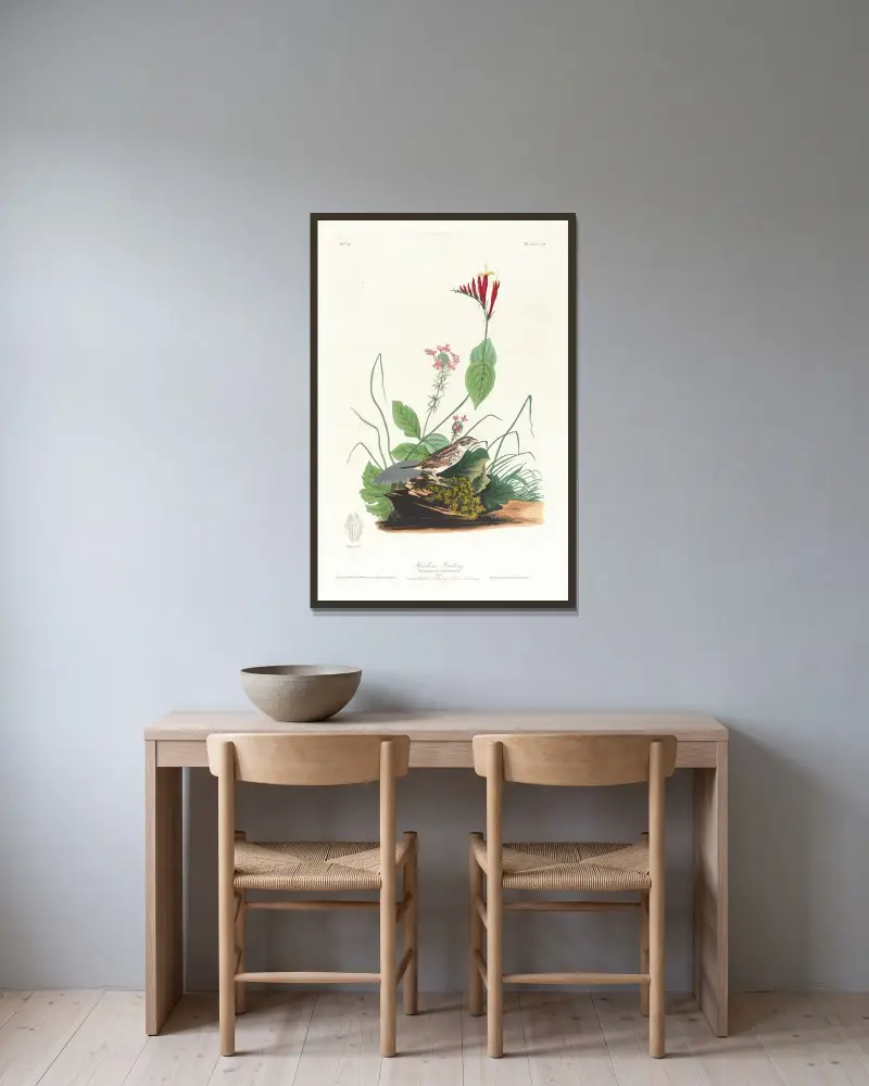 Henslowův strnad, John James Audubon v rámu na stěně