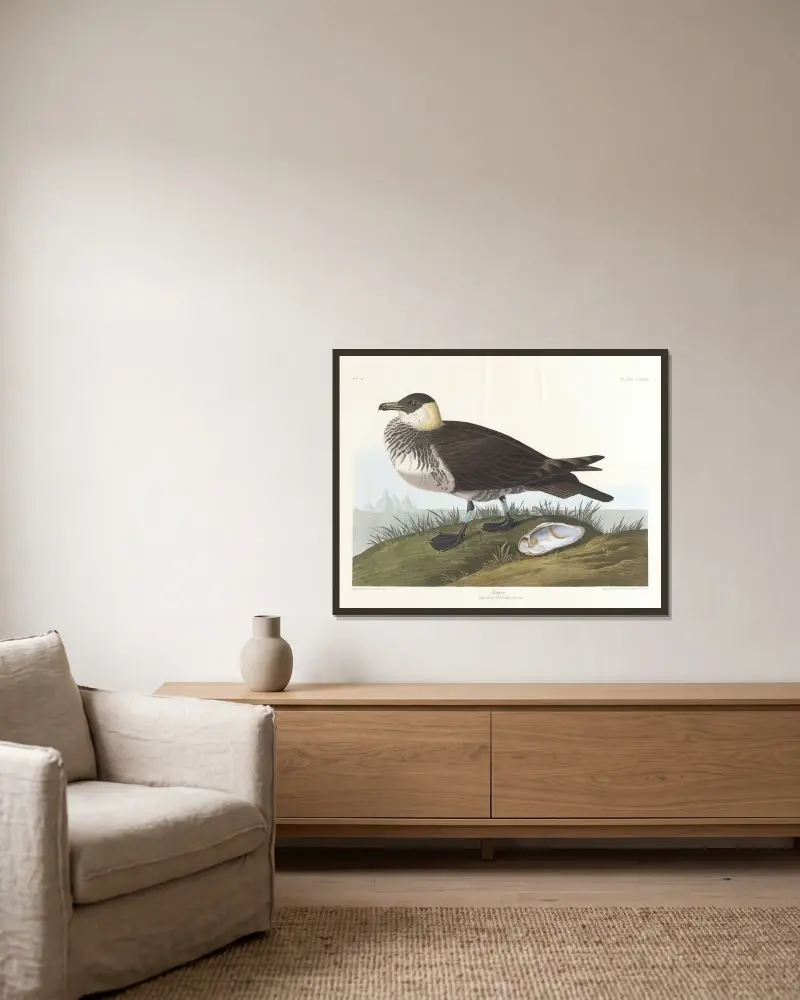 Jager, John James Audubon v rámu na stěně