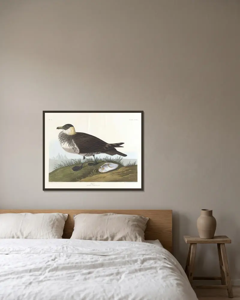 Jager, John James Audubon v rámu na stěně