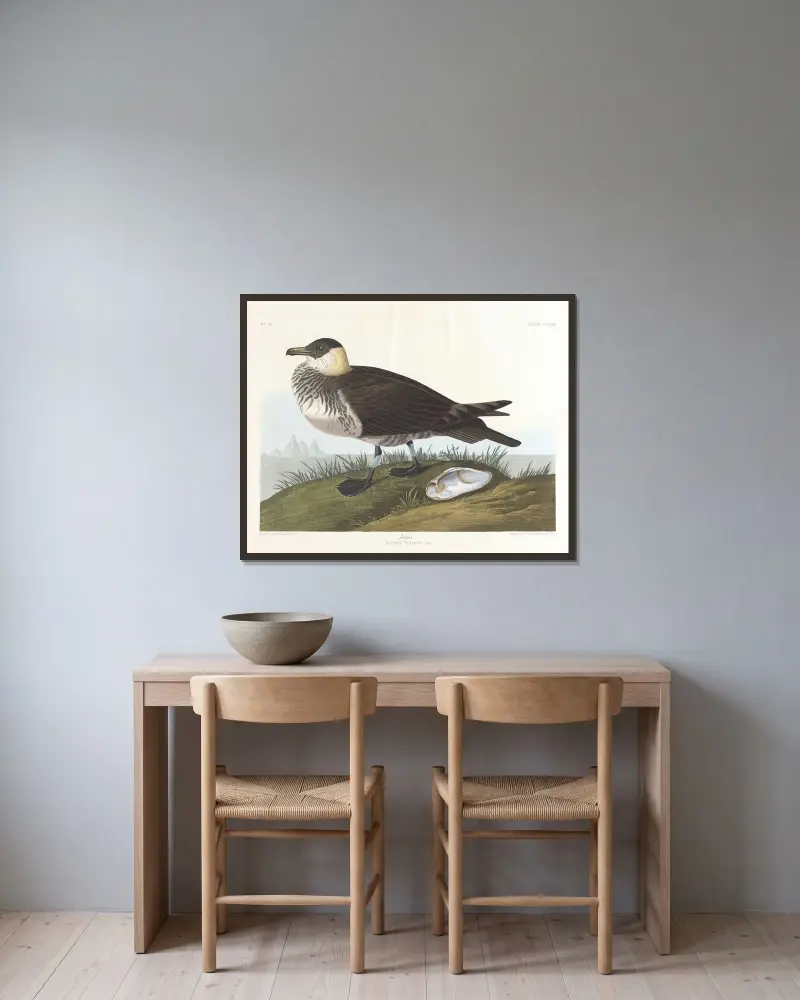 Jager, John James Audubon v rámu na stěně