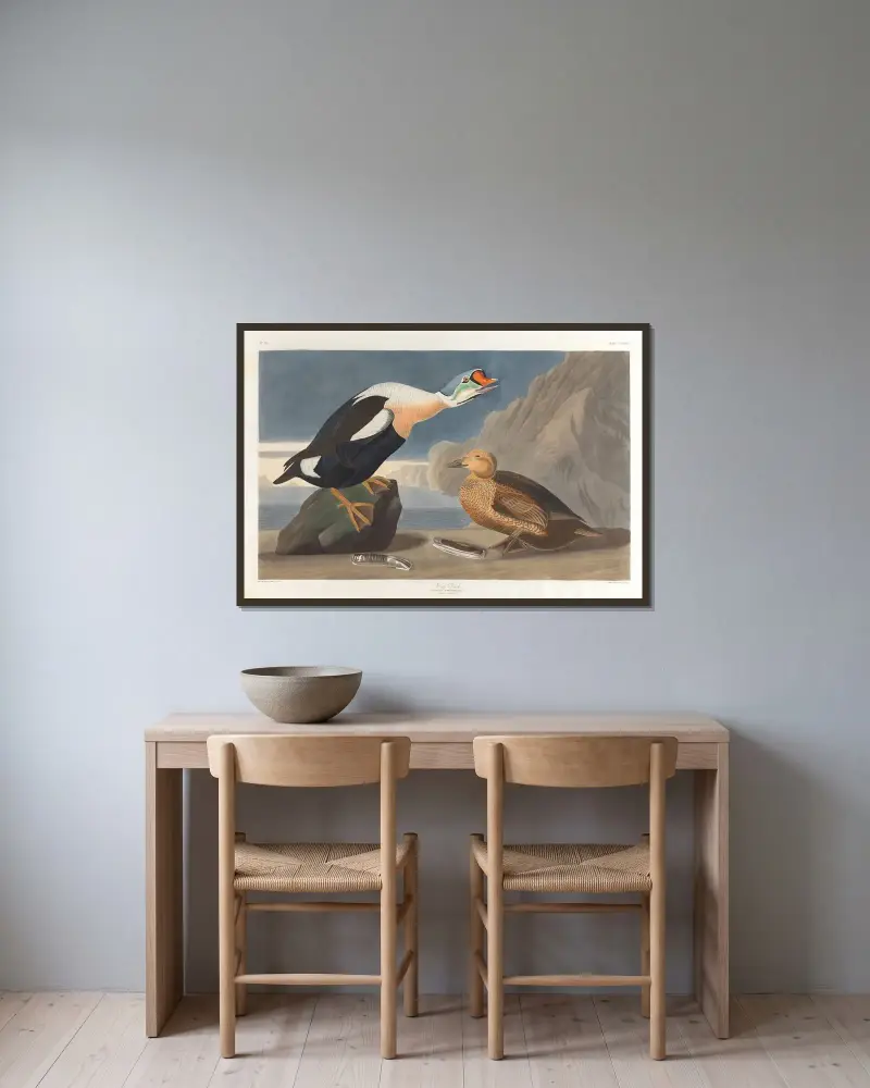Kungsand, John James Audubon v rámu na stěně