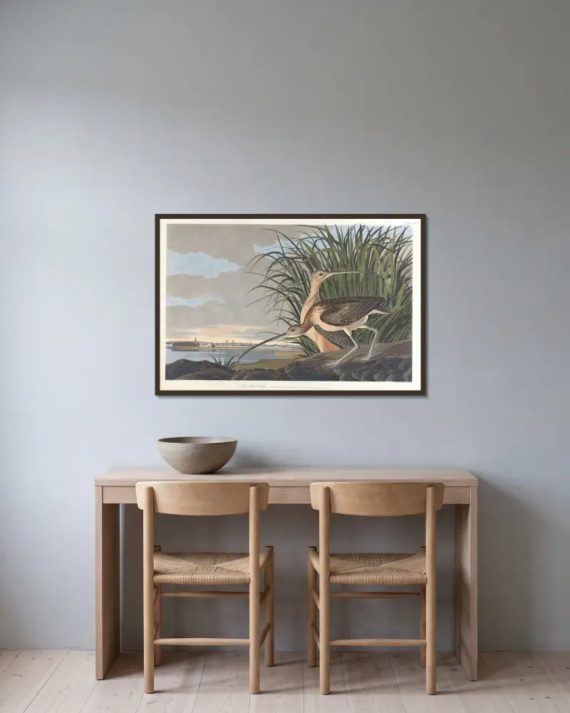 Długodzioby kulik, John James Audubon w ramie na ścianie