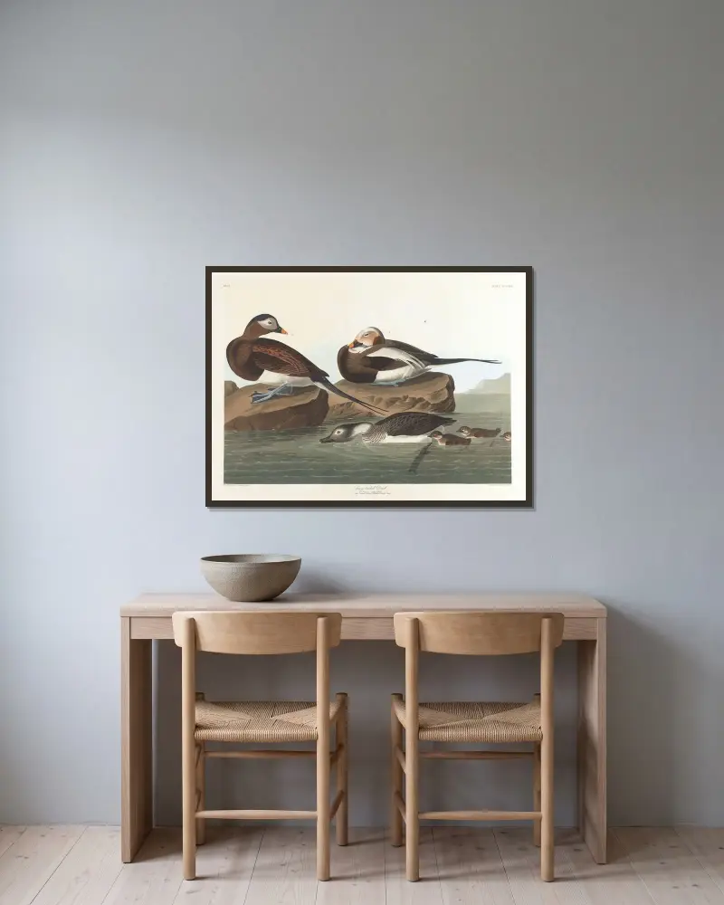 Alförrädare, John James Audubon v rámu na stěně