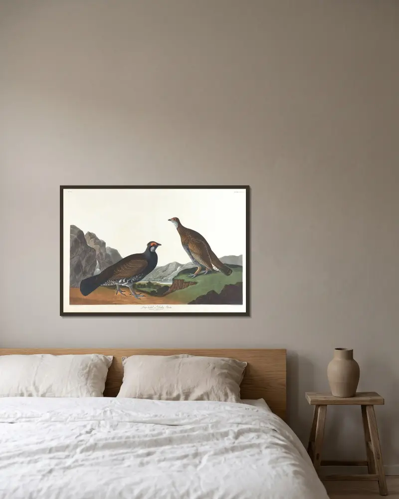 Langschwanz- oder Dunkel-Waldhuhn von John James Audubon gerahmt an einer Wand