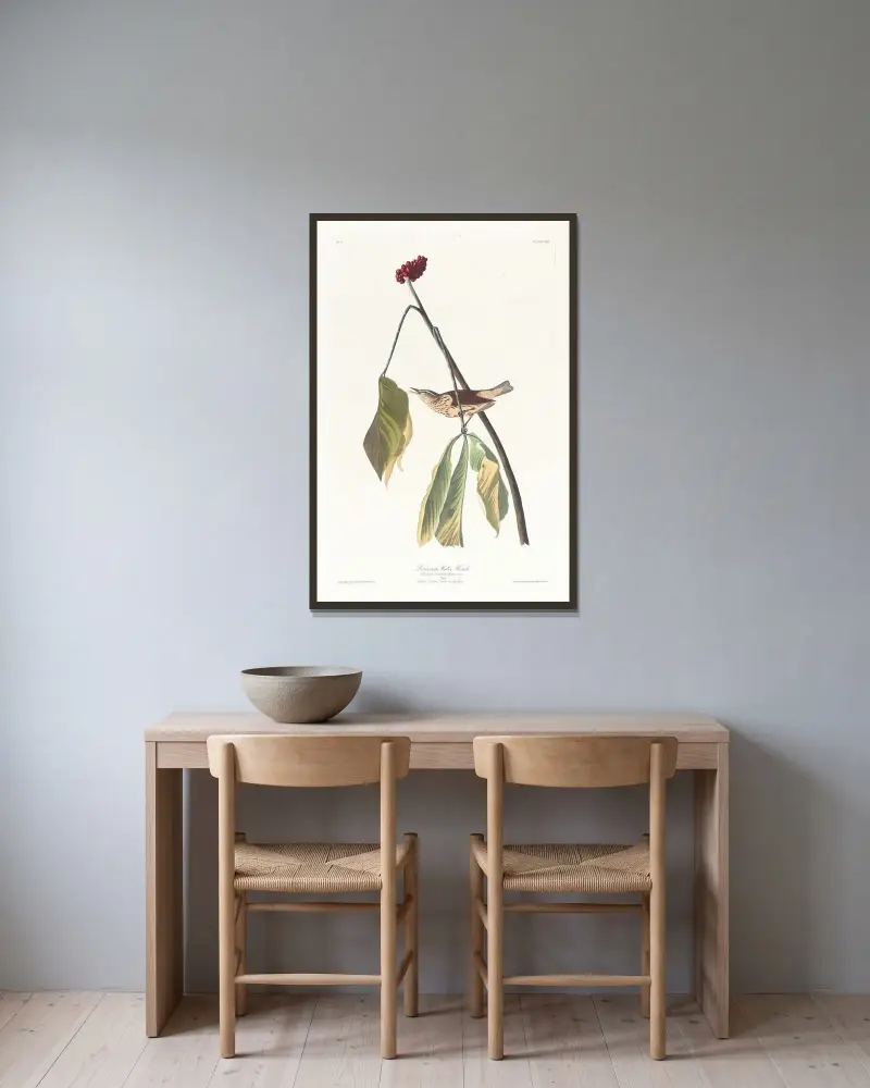Louisiana water thrush av John James Audubon inramad på en vägg