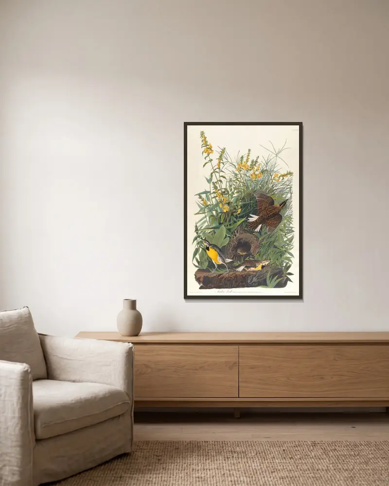 Feldlerche von John James Audubon gerahmt an einer Wand