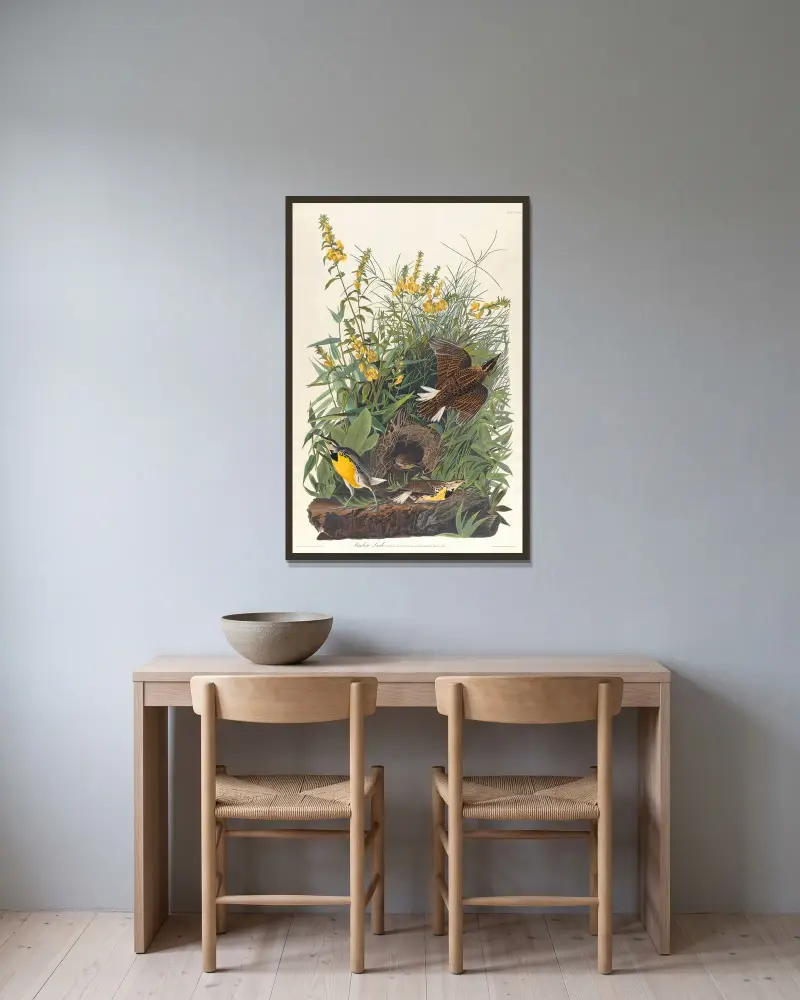 Feldlerche von John James Audubon gerahmt an einer Wand