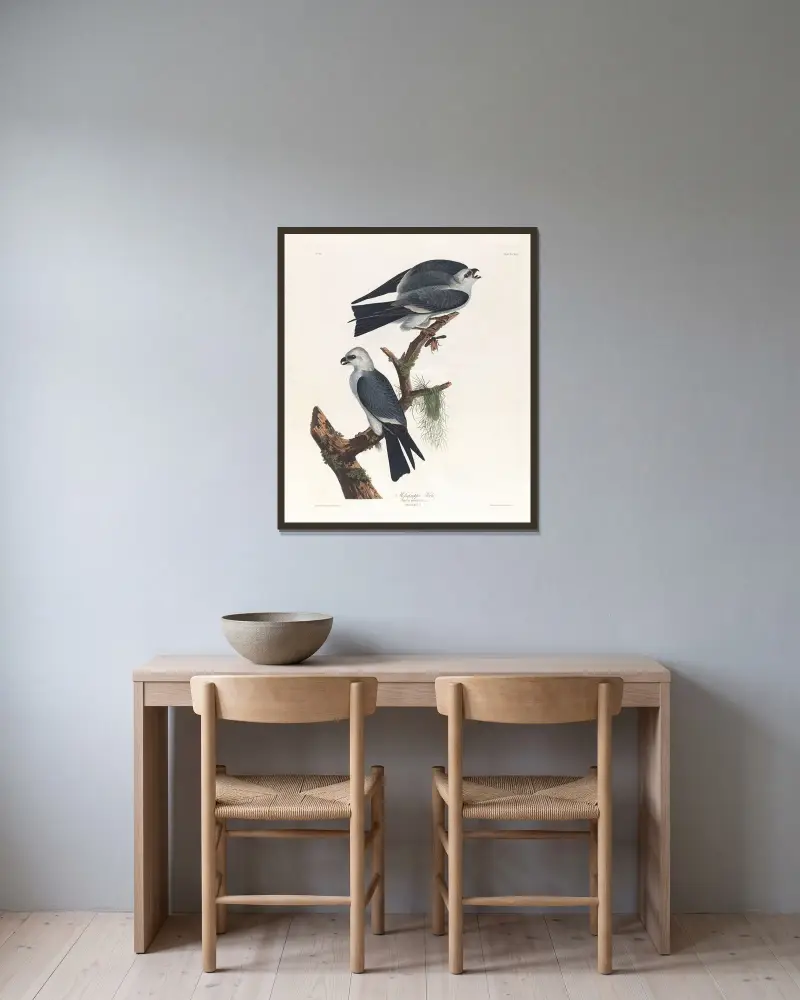 Mississippiglada von John James Audubon gerahmt an einer Wand