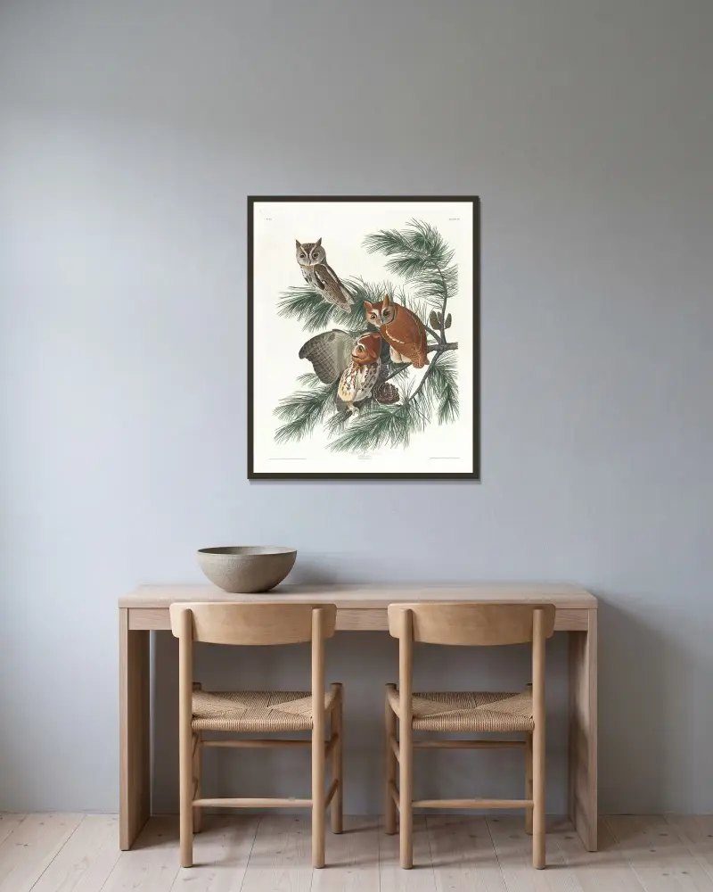 Sprenkelkauz von John James Audubon gerahmt an einer Wand