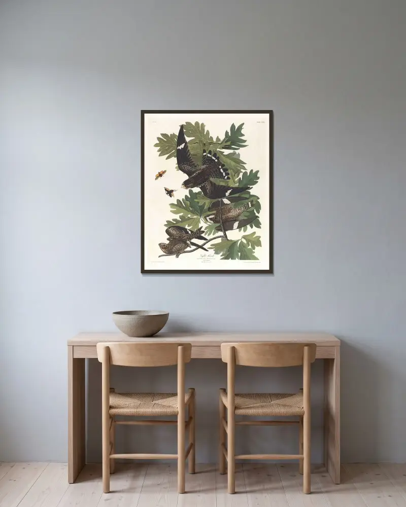 Nighthawk, John James Audubon v rámu na stěně