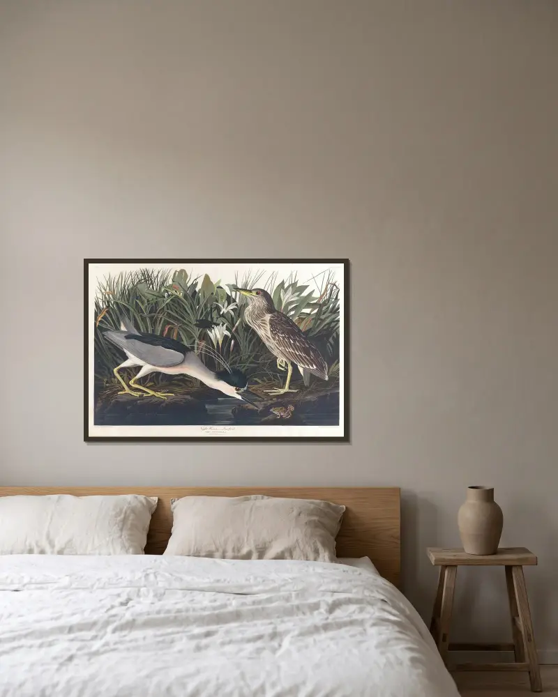 Night heron or qua bird av John James Audubon inramad på en vägg