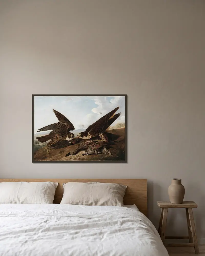 Sokoły wędrowne (Duck Hawks), John James Audubon w ramie na ścianie
