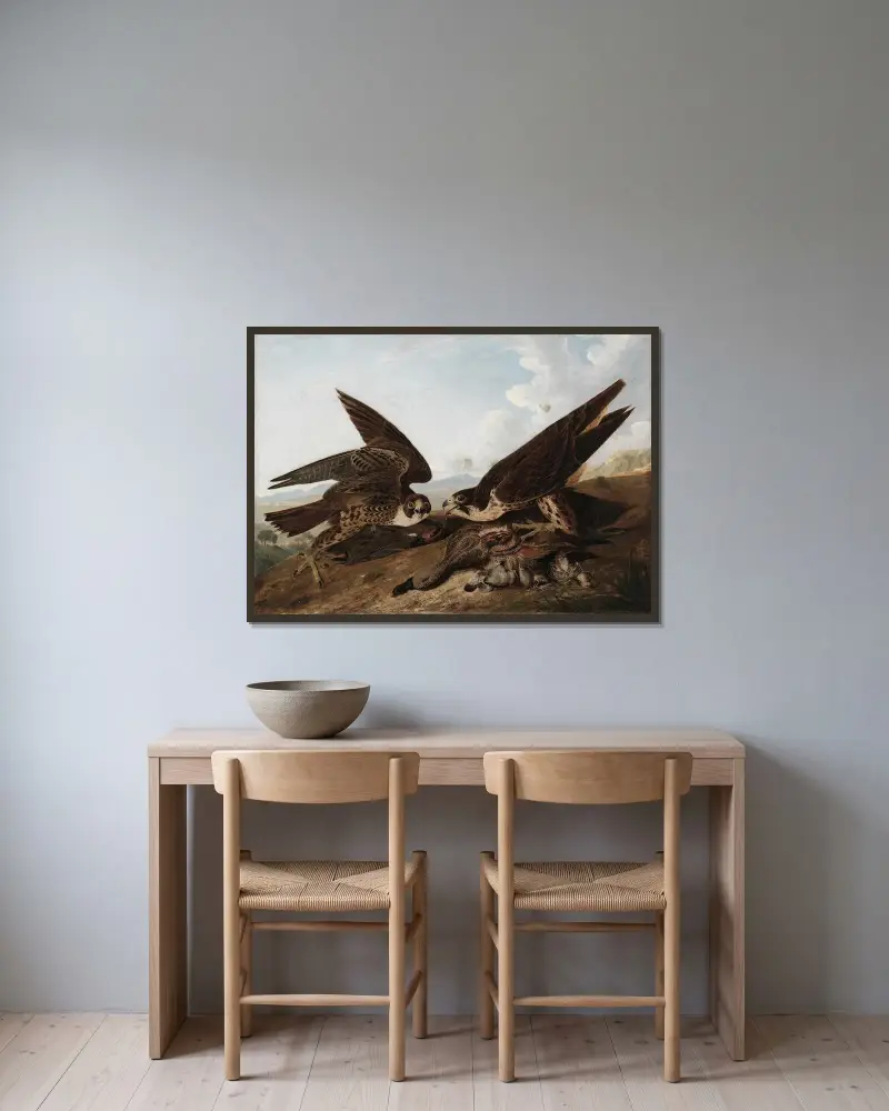 Sokoły wędrowne (Duck Hawks), John James Audubon w ramie na ścianie