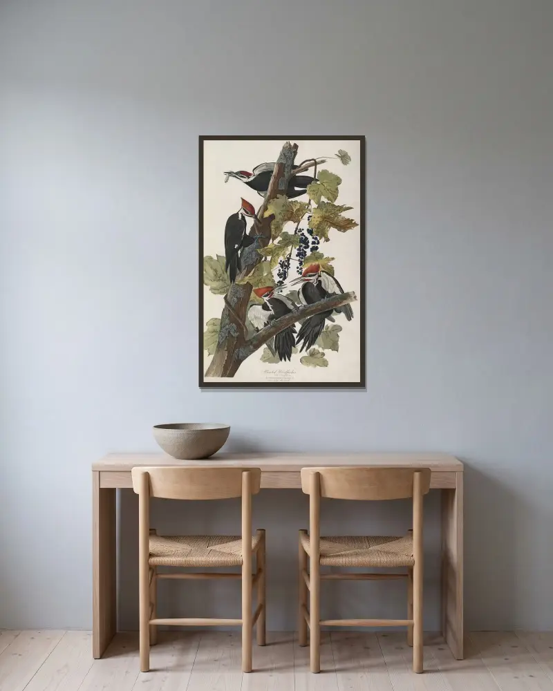 Datel chocholatý, 1827 – Nr. 2, John James Audubon v rámu na stěně