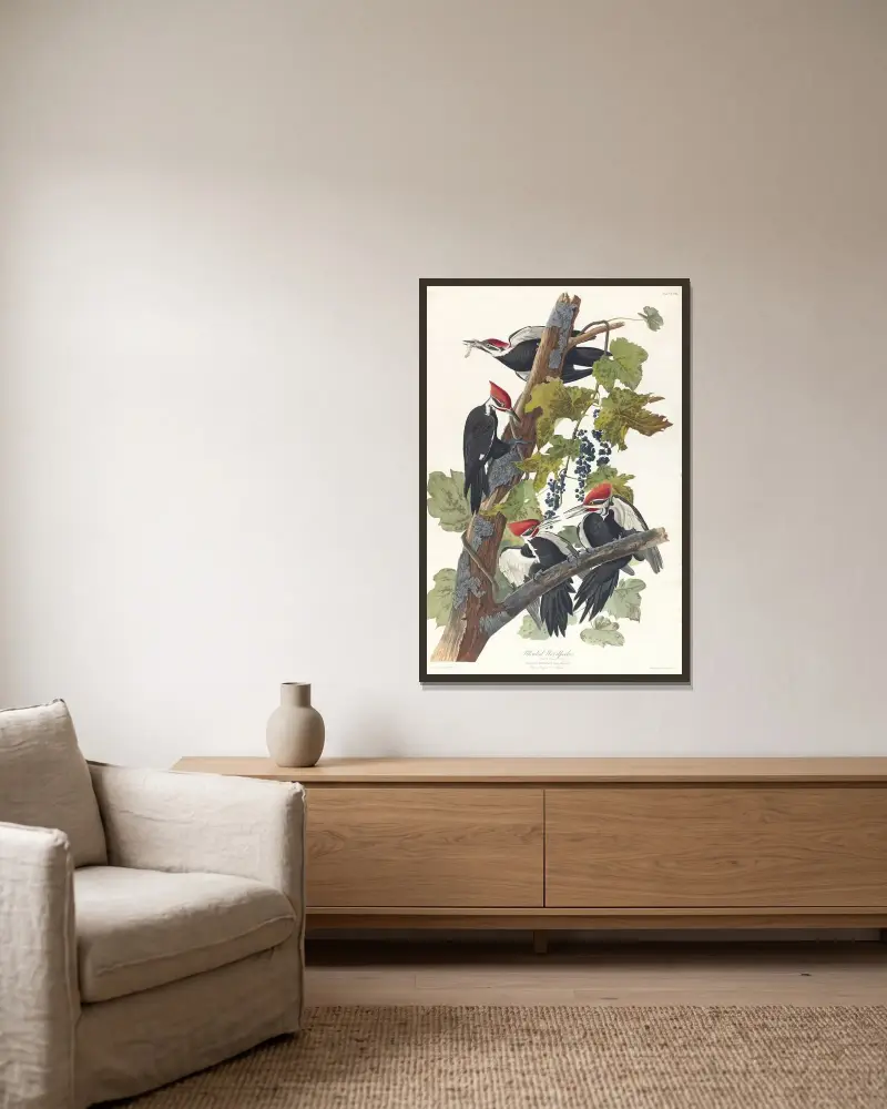 Haarspecht, 1827 – Nr. 1 von John James Audubon gerahmt an einer Wand