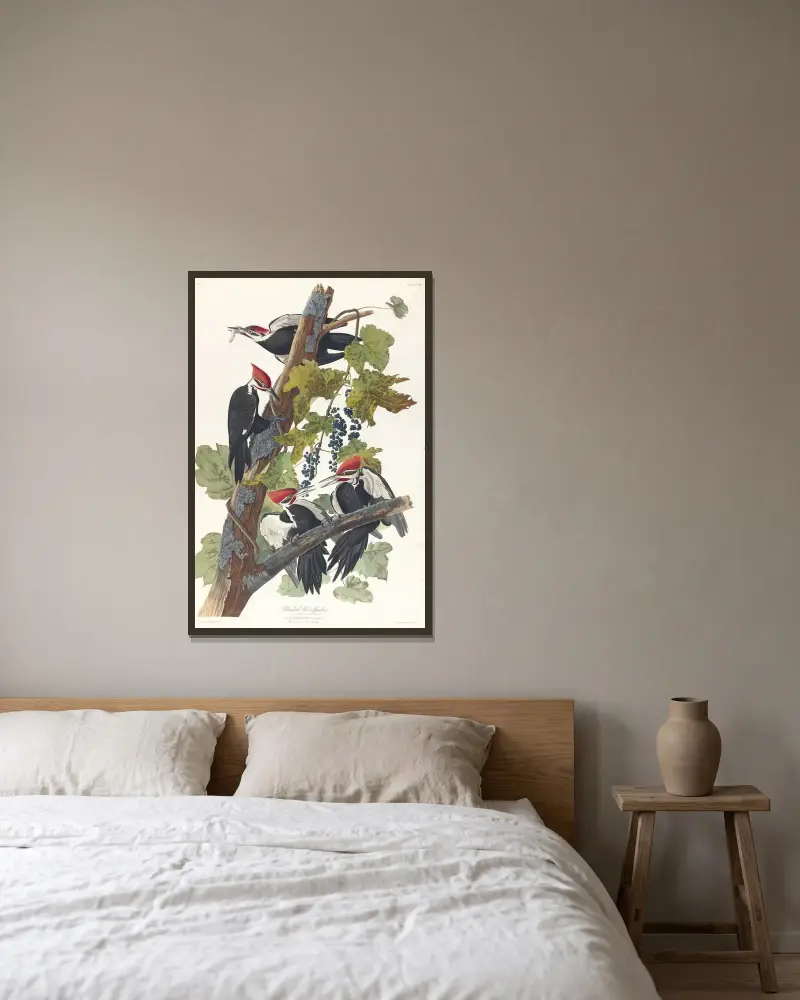Haarspecht, 1827 – Nr. 1 von John James Audubon gerahmt an einer Wand