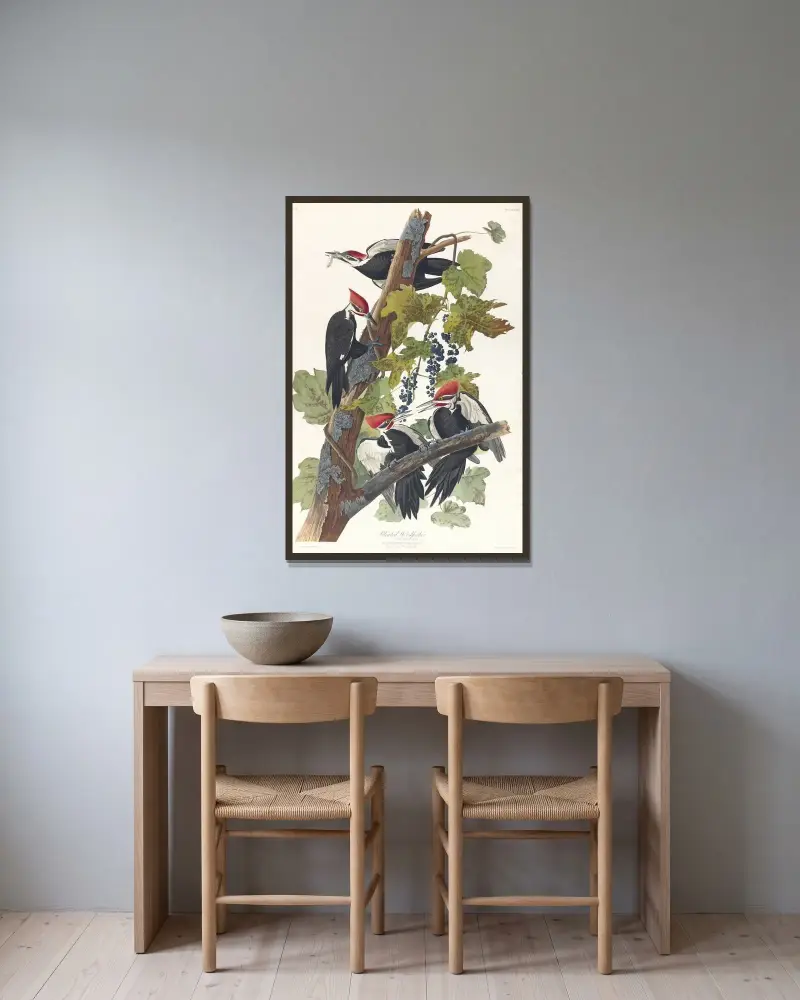 Haarspecht, 1827 – Nr. 1 von John James Audubon gerahmt an einer Wand