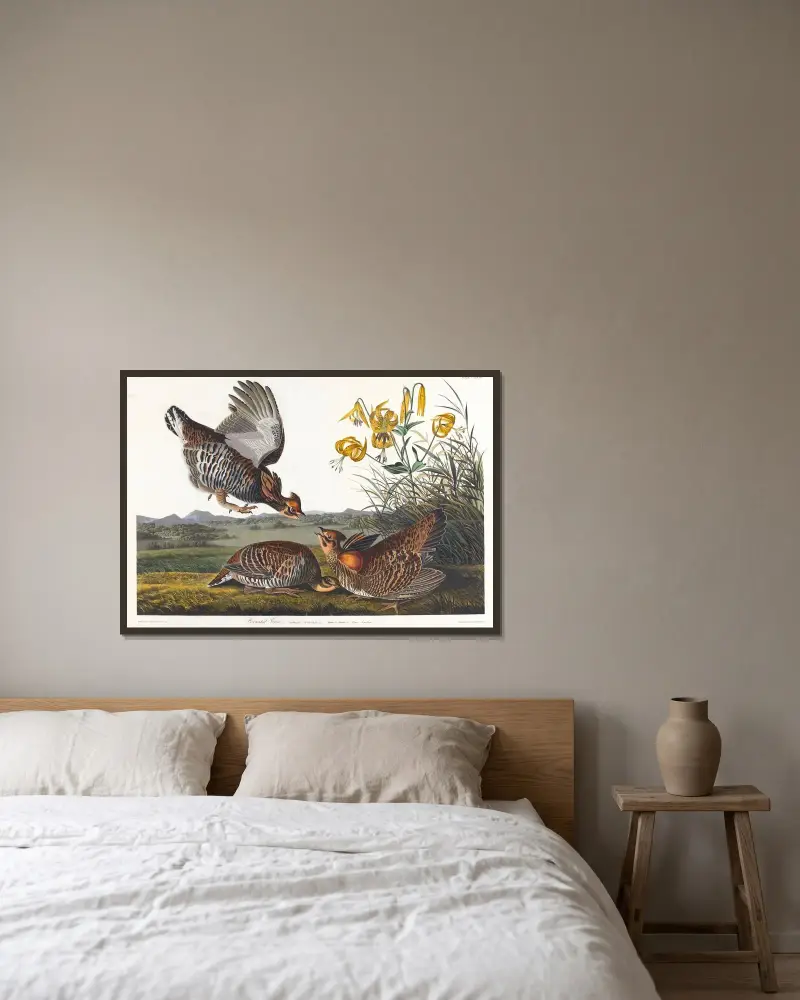 Präriehuhn von John James Audubon gerahmt an einer Wand