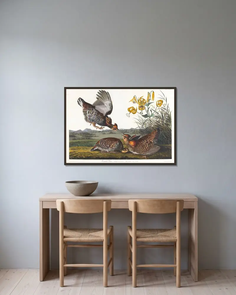 Präriehuhn von John James Audubon gerahmt an einer Wand