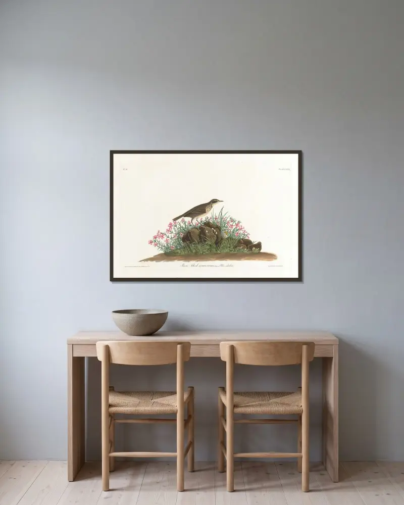 Prérijní linduška, John James Audubon v rámu na stěně