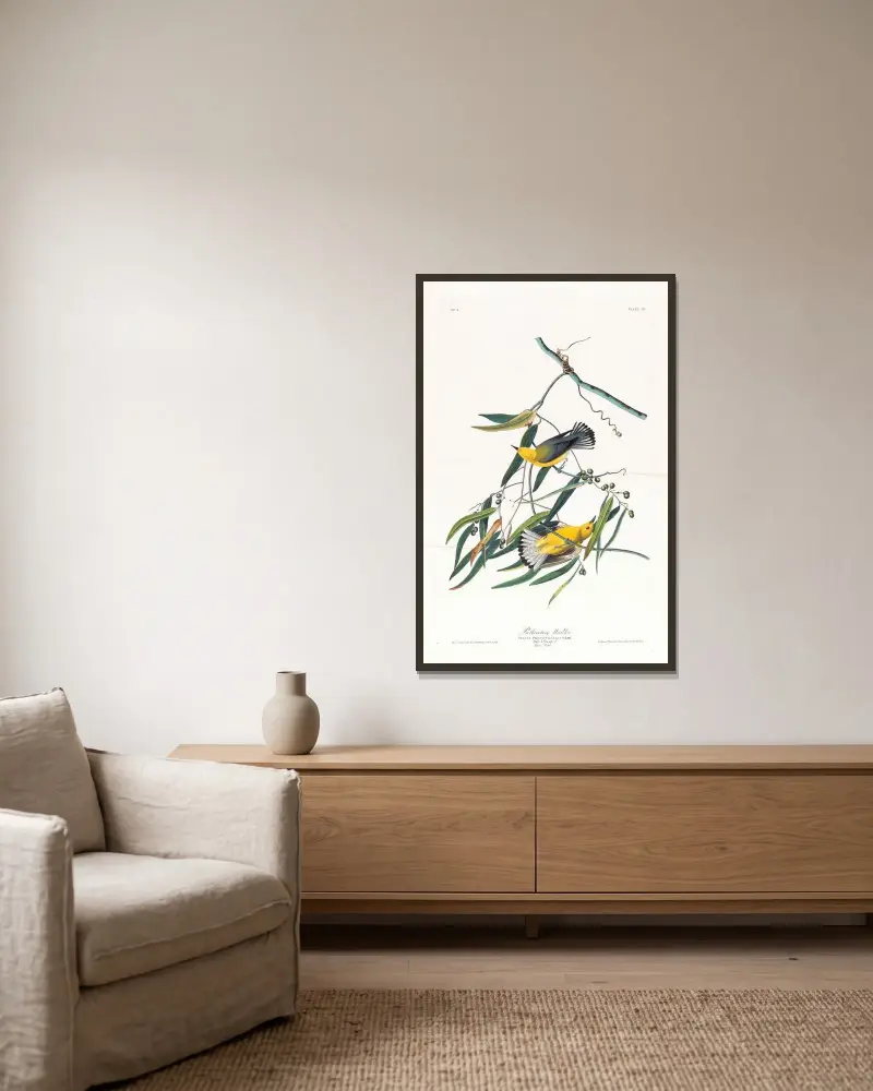 Prothonotary warbler, John James Audubon w ramie na ścianie