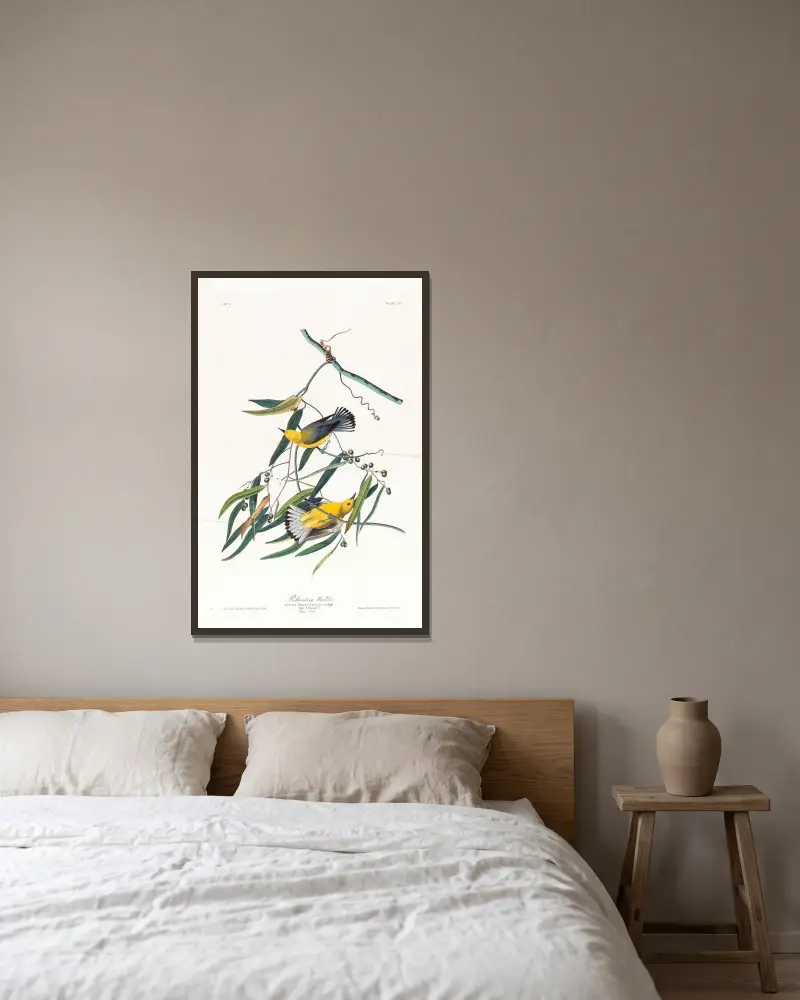 Prothonotary warbler, John James Audubon w ramie na ścianie