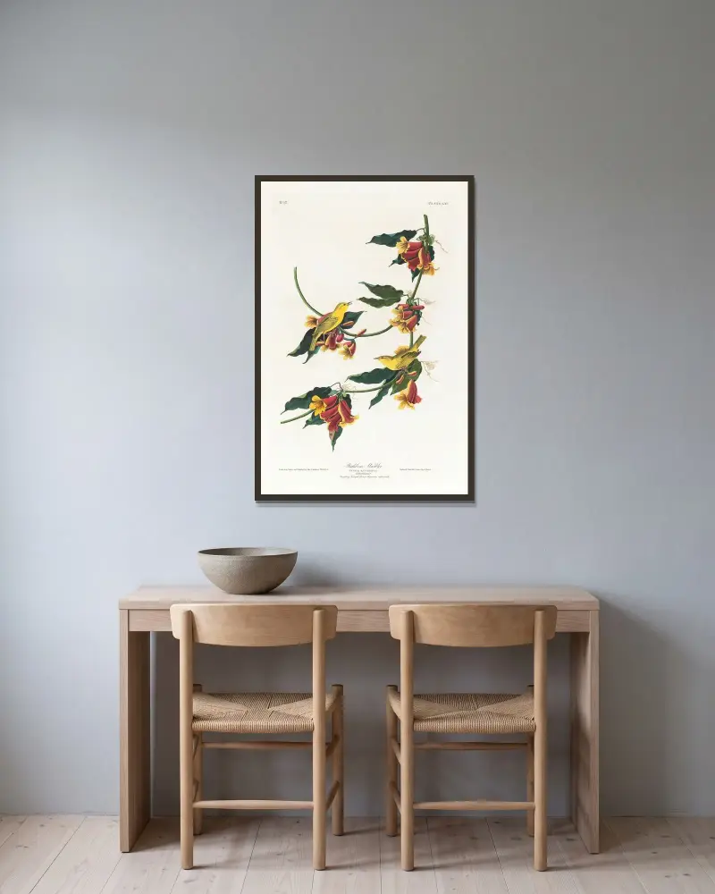Rathboneova pěnice, John James Audubon v rámu na stěně
