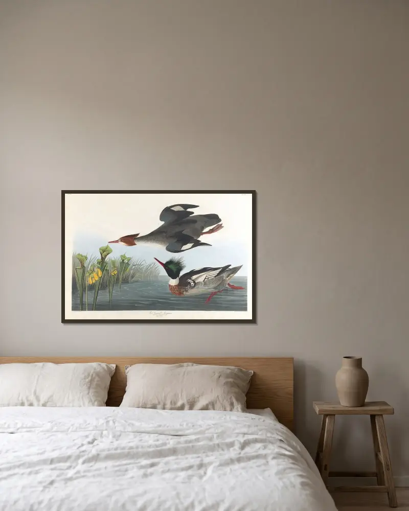 Střízlík říční, John James Audubon v rámu na stěně