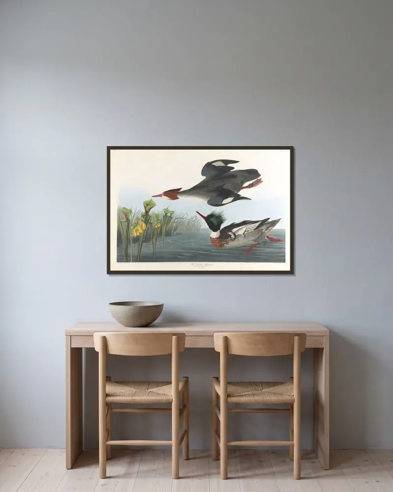 Střízlík říční, John James Audubon v rámu na stěně