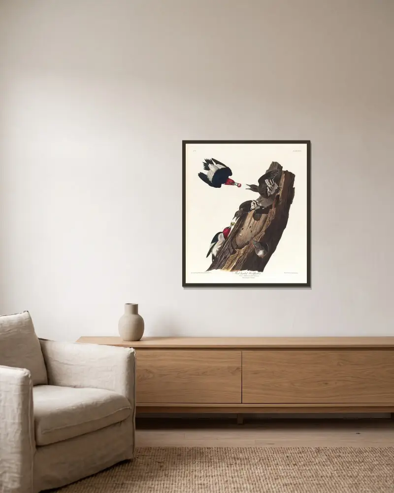 Rothals-Specht von John James Audubon gerahmt an einer Wand