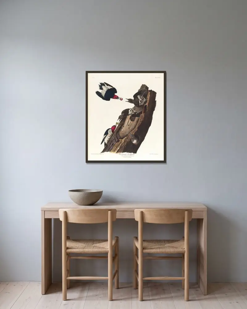 Rothals-Specht von John James Audubon gerahmt an einer Wand