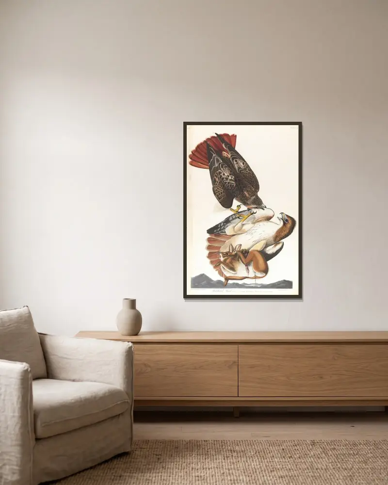 Rotschwanzbussard, 1827 – Nr. 2 von John James Audubon gerahmt an einer Wand