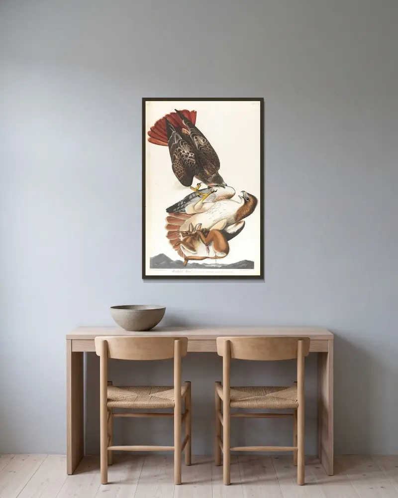 Rotschwanzbussard, 1827 – Nr. 2 von John James Audubon gerahmt an einer Wand