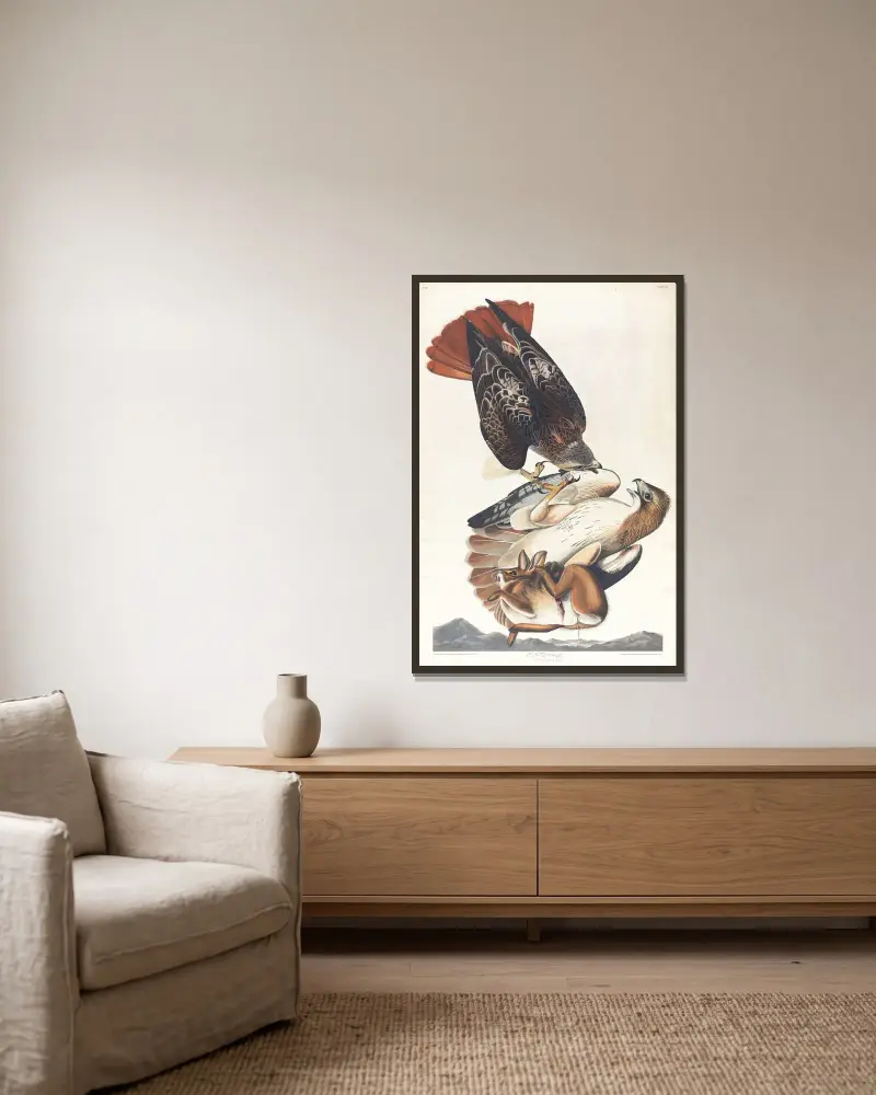 Rotschwanzbussard, 1827 – Nr. 1 von John James Audubon gerahmt an einer Wand