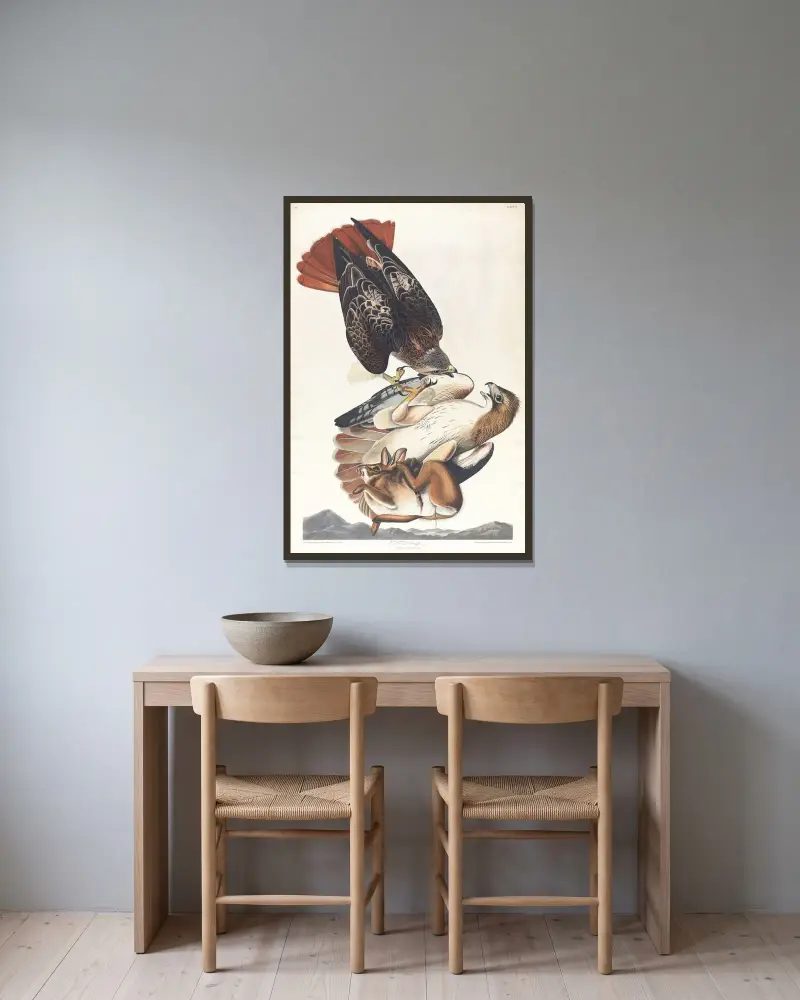 Rotschwanzbussard, 1827 – Nr. 1 von John James Audubon gerahmt an einer Wand
