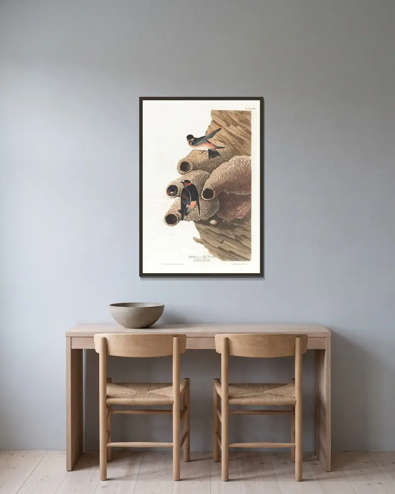 Republican or cliff swallow av John James Audubon inramad på en vägg