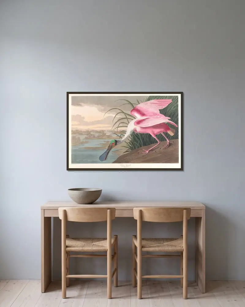 Růžový kolpík, John James Audubon v rámu na stěně